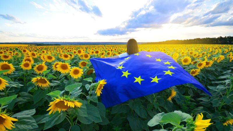 Eine Frau geht durch ein Sonnenblumenfeld. Sie trägt eine Europaflagge auf dem Rücken.