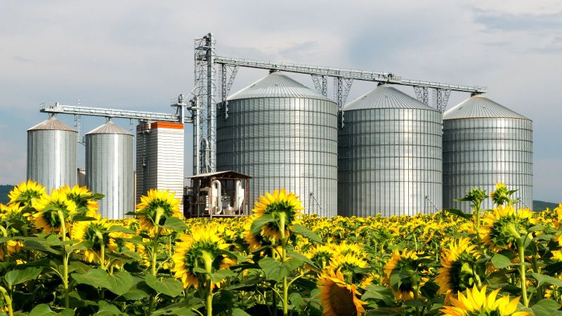 Getreidespeicher inmitten Sonnenblumenfeld