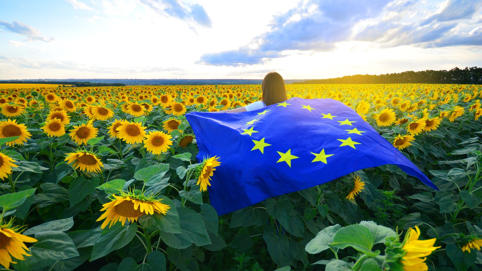 Eine Frau geht durch ein Sonnenblumenfeld. Sie trägt eine Europafahne auf dem Rücken.