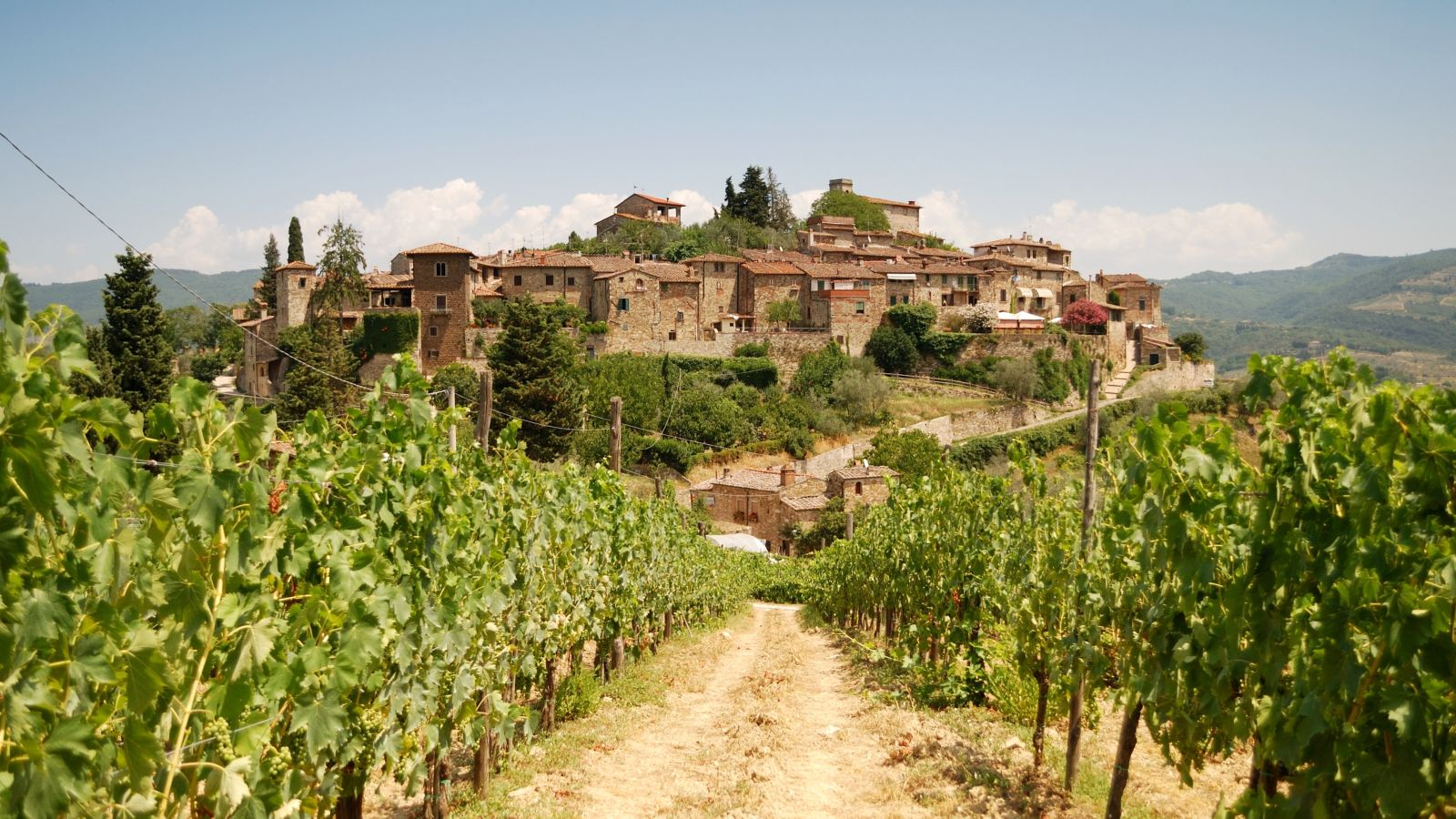 Ein malerisches italienisches Dorf mit historischen Steinhäusern. Im Vordergrund sind grüne Weinreben