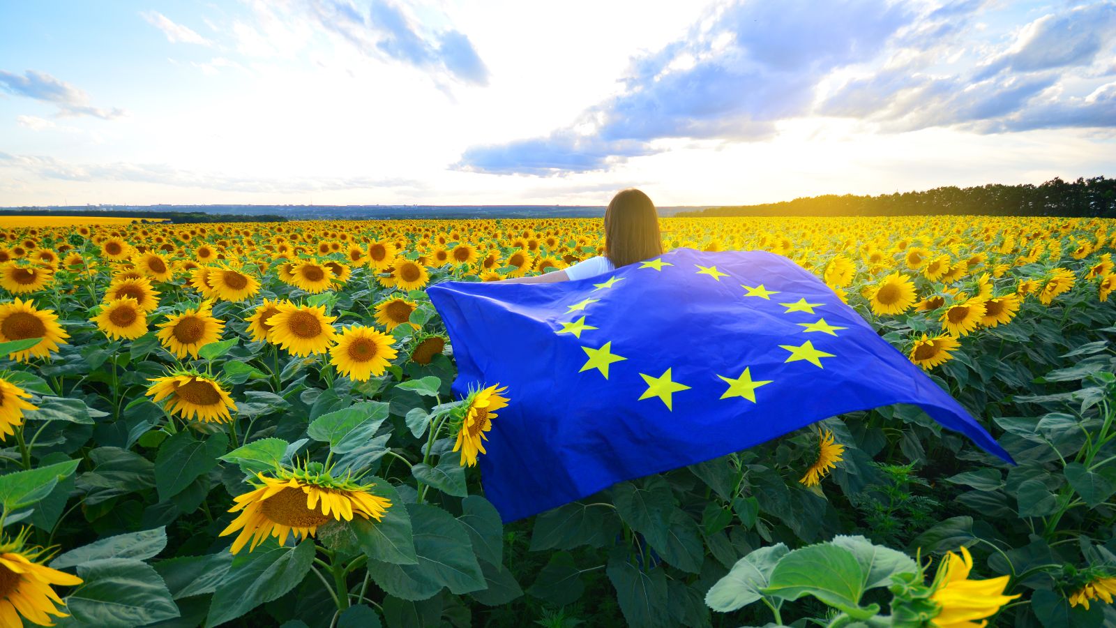 Eine Frau geht durch ein Sonnenblumenfeld. Sie trägt eine Europafahne auf dem Rücken.